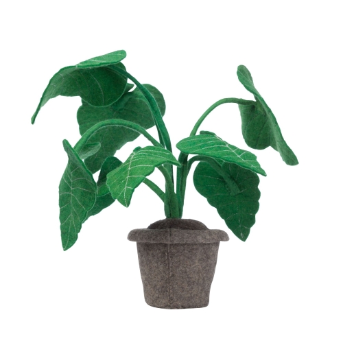 Kidsdepot Pflanze Filz Alocasia